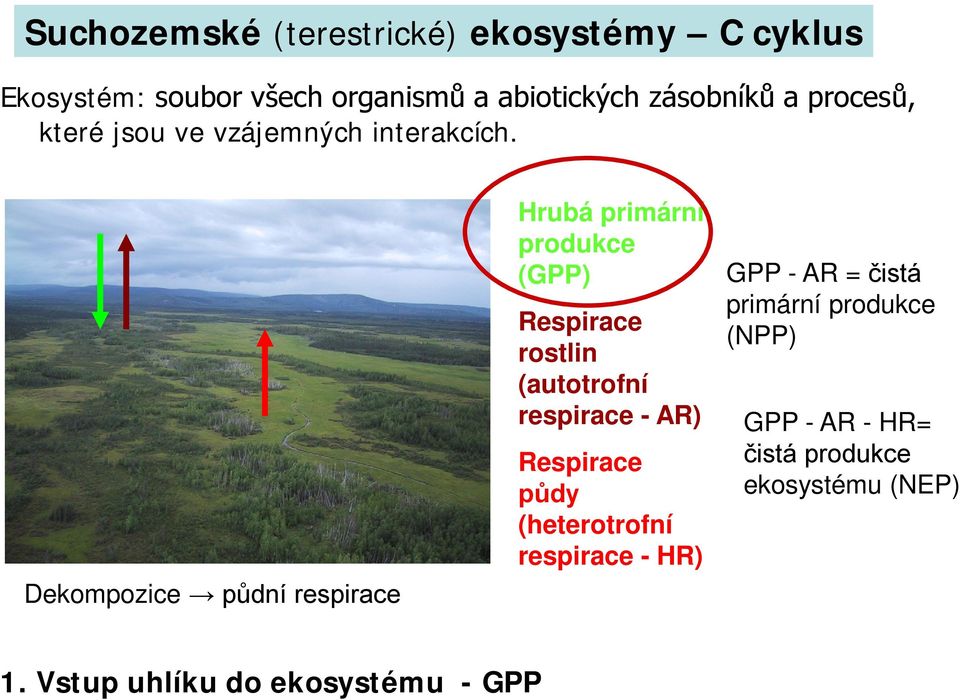 Dekompozice půdní respirace Hrubá primární produkce (GPP) Respirace rostlin (autotrofní respirace - AR)