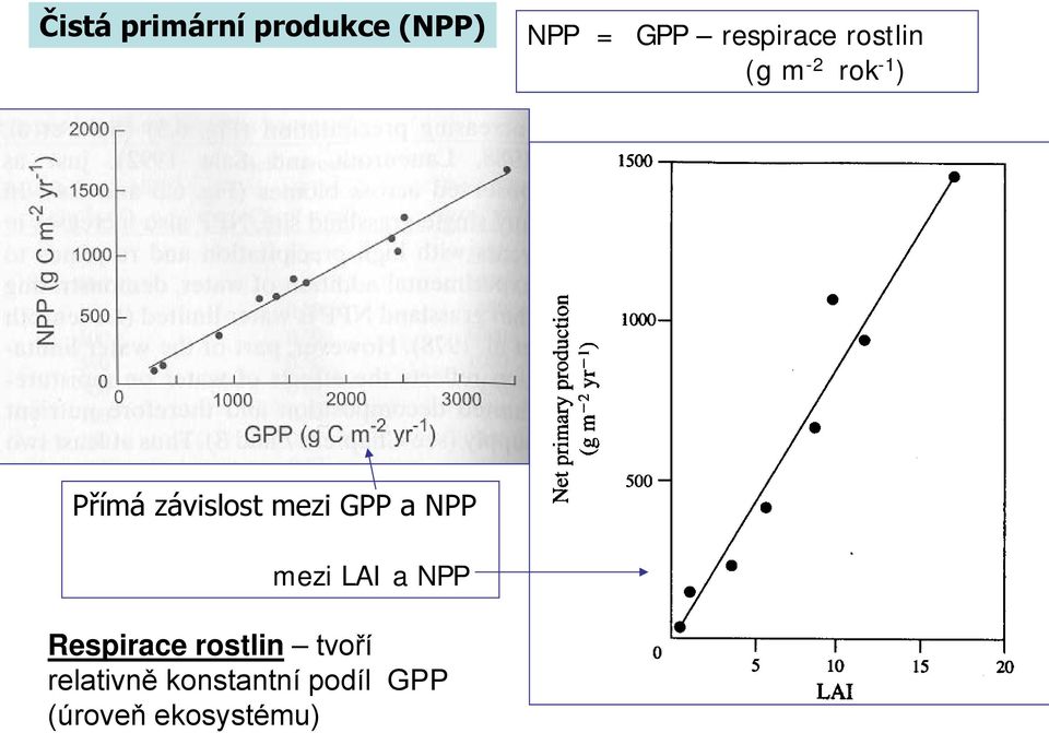 závislost mezi GPP a NPP mezi LAI a NPP