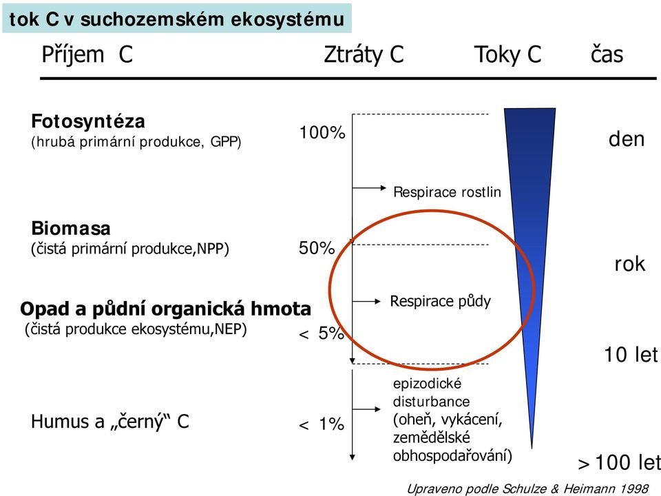 organická hmota (čistá produkce ekosystému,nep) < 5% Humus a černý C < 1% Respirace půdy epizodické