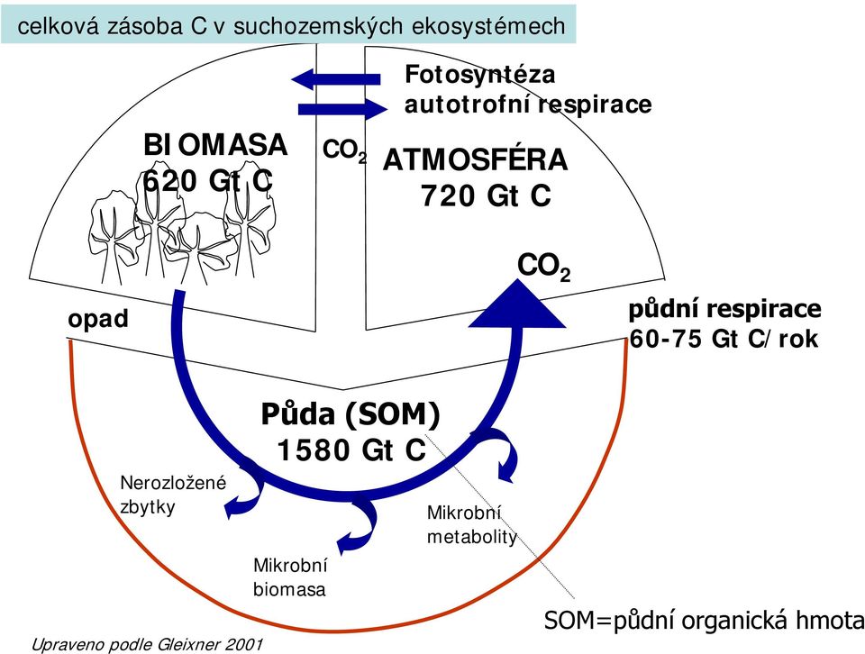 respirace 60-75 Gt C/rok Nerozložené zbytky Upraveno podle Gleixner 2001