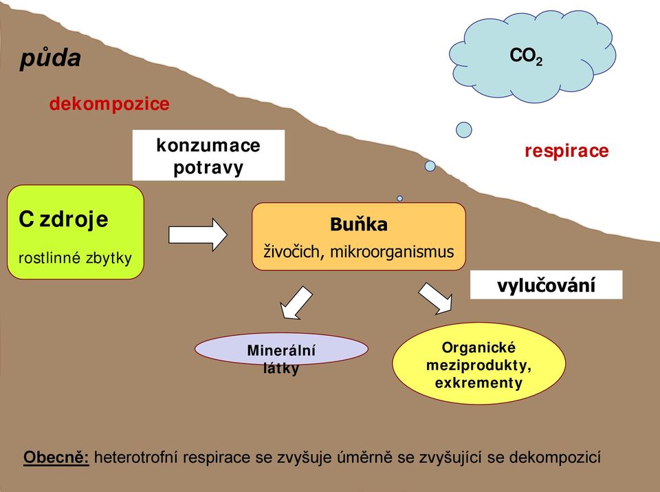 Minerální látky Organické meziprodukty, exkrementy Obecně: