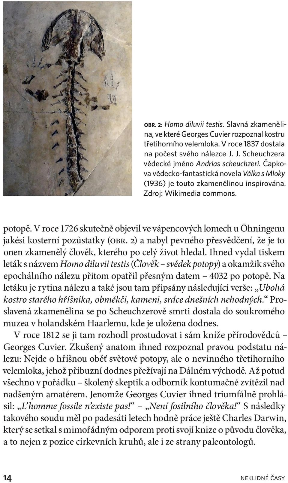 V roce 1726 skutečně objevil ve vápencových lomech u Öhningenu jakési kosterní pozůstatky (obr. 2) a nabyl pevného přesvědčení, že je to onen zkamenělý člověk, kterého po celý život hledal.