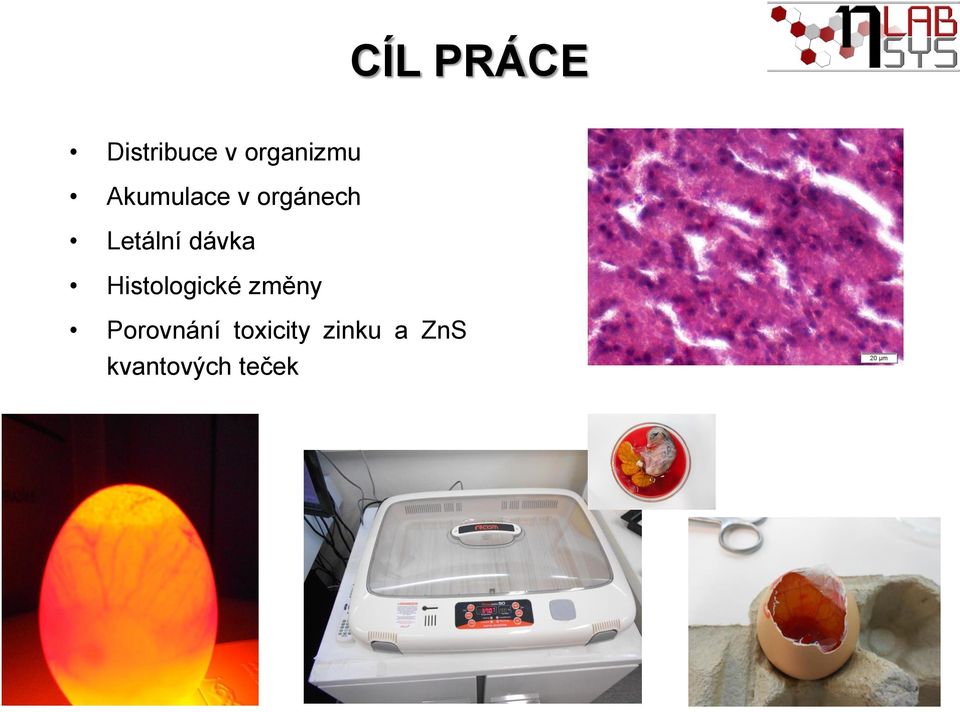 dávka Histologické změny