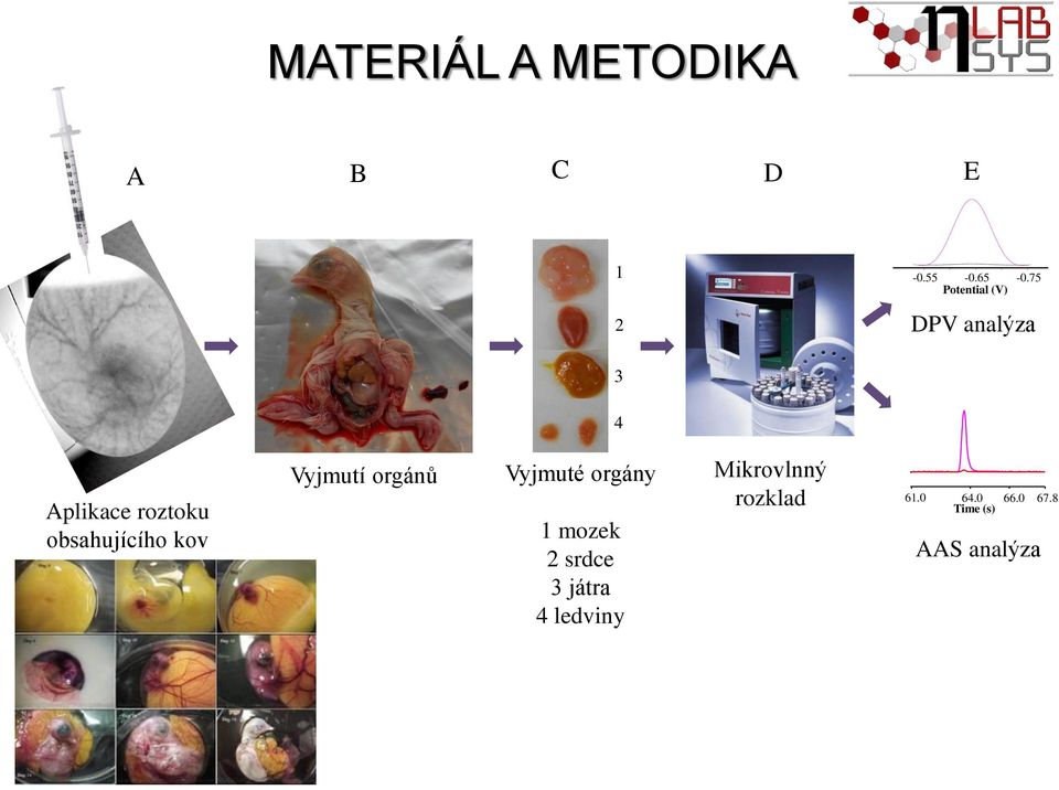 obsahujícího kov Vyjmutí orgánů Vyjmuté orgány 1 mozek 2