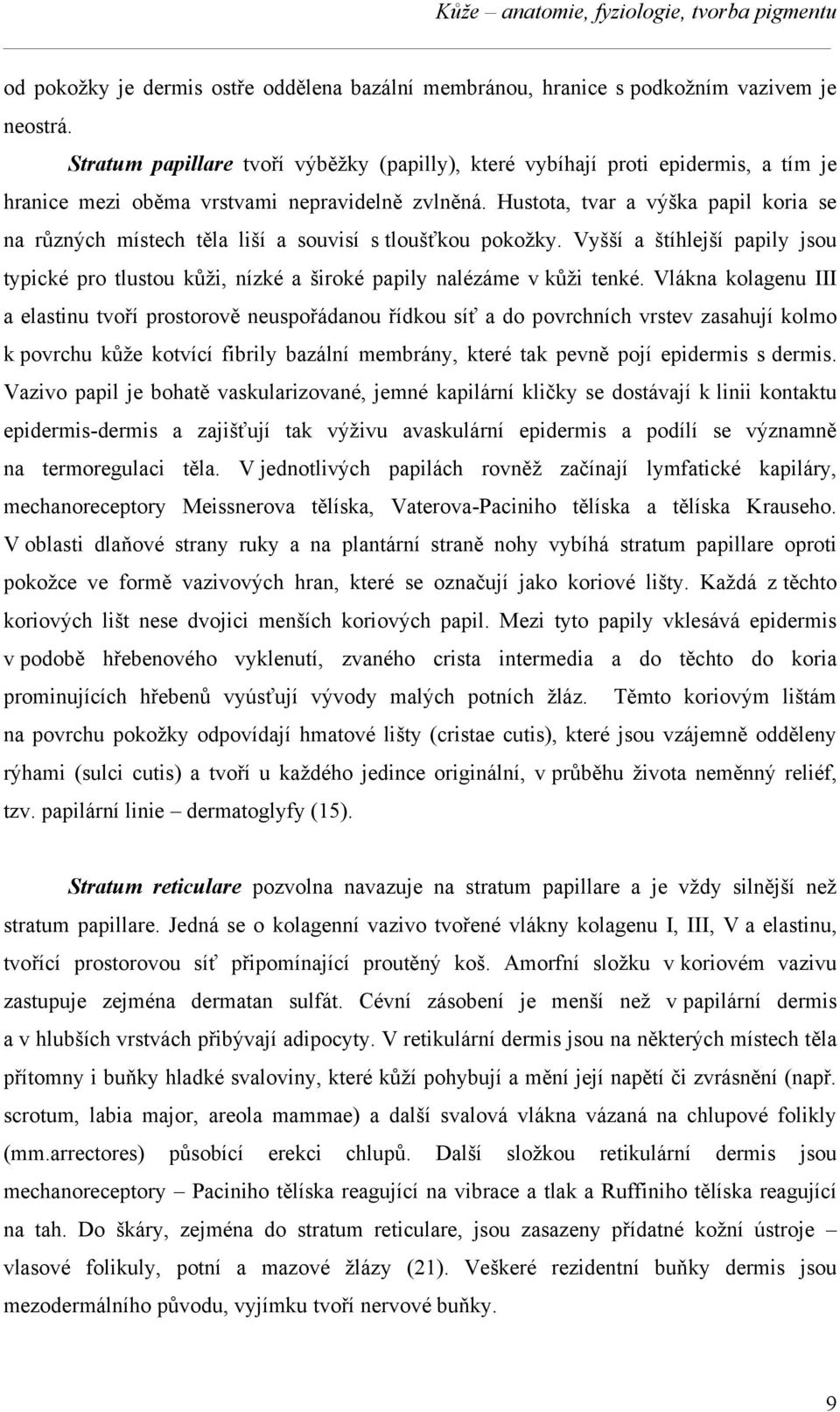 Hustota, tvar a výška papil koria se na různých místech těla liší a souvisí s tloušťkou pokožky. Vyšší a štíhlejší papily jsou typické pro tlustou kůži, nízké a široké papily nalézáme v kůži tenké.