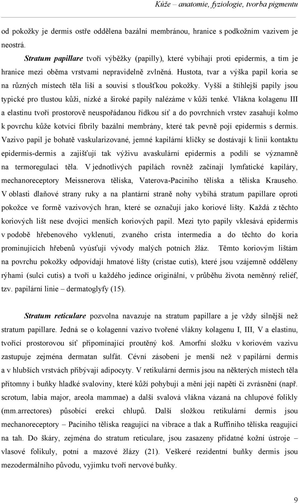 Hustota, tvar a výška papil koria se na různých místech těla liší a souvisí s tloušťkou pokožky. Vyšší a štíhlejší papily jsou typické pro tlustou kůži, nízké a široké papily nalézáme v kůži tenké.