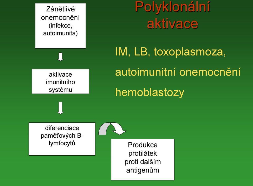 systému autoimunitní onemocnění hemoblastozy diferenciace