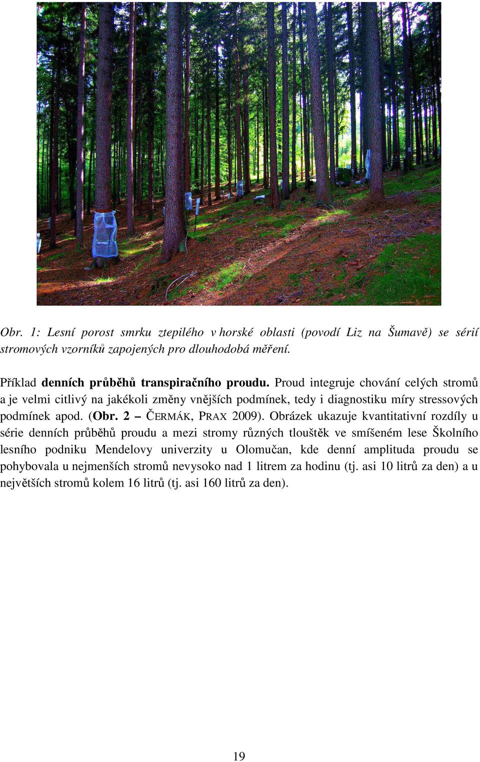 Proud integruje chování celých stromů a je velmi citlivý na jakékoli změny vnějších podmínek, tedy i diagnostiku míry stressových podmínek apod. (Obr. 2 ČERMÁK, PRAX 2009).
