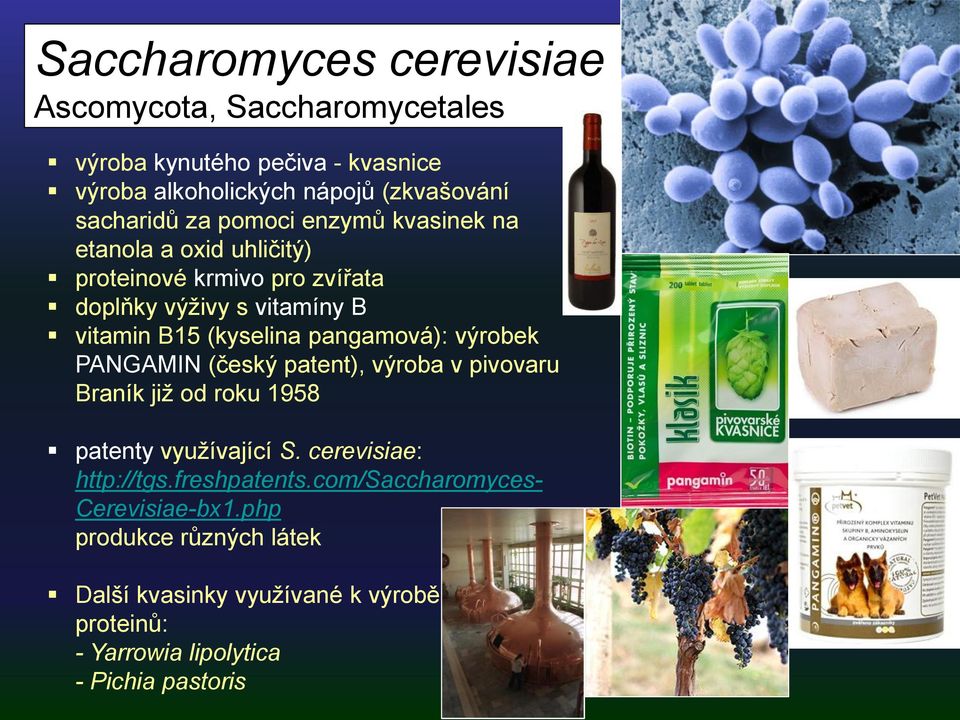 pangamová): výrobek PANGAMIN (český patent), výroba v pivovaru Braník již od roku 1958 patenty využívající S. cerevisiae: http://tgs.