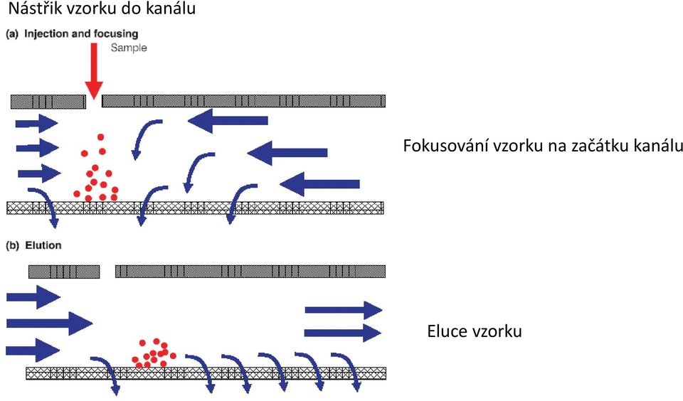 vzorku na začátku