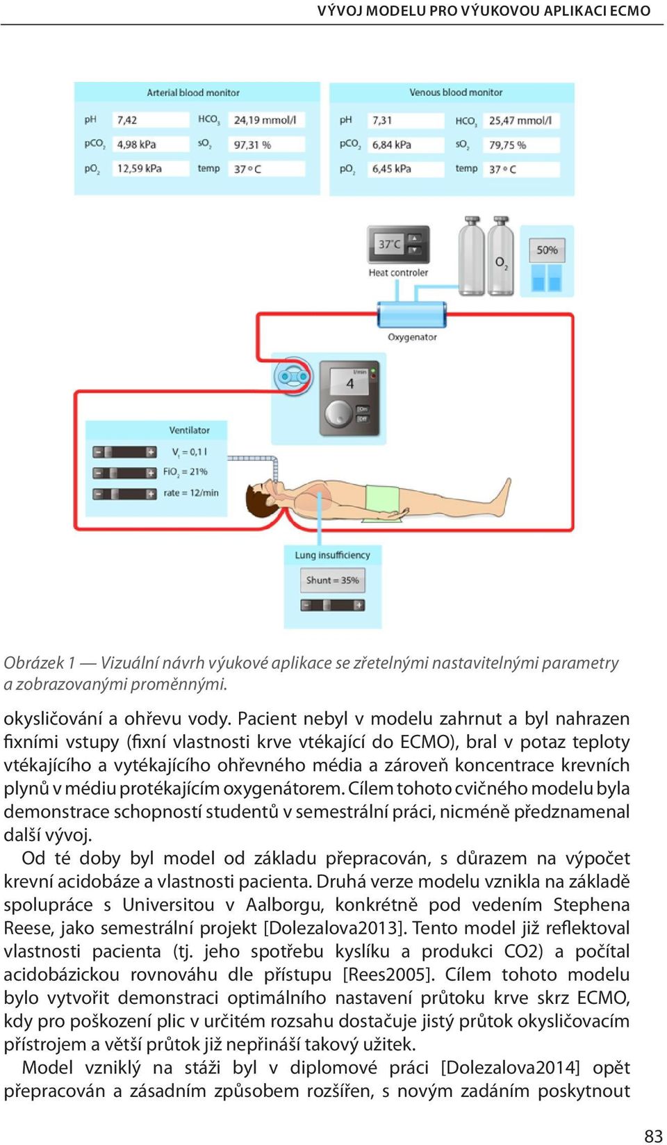 plynů v médiu protékajícím oxygenátorem. Cílem tohoto cvičného modelu byla demonstrace schopností studentů v semestrální práci, nicméně předznamenal další vývoj.