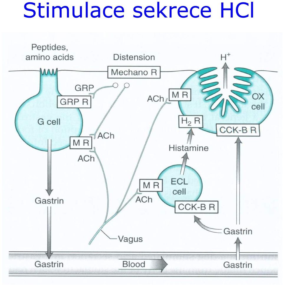 HCl