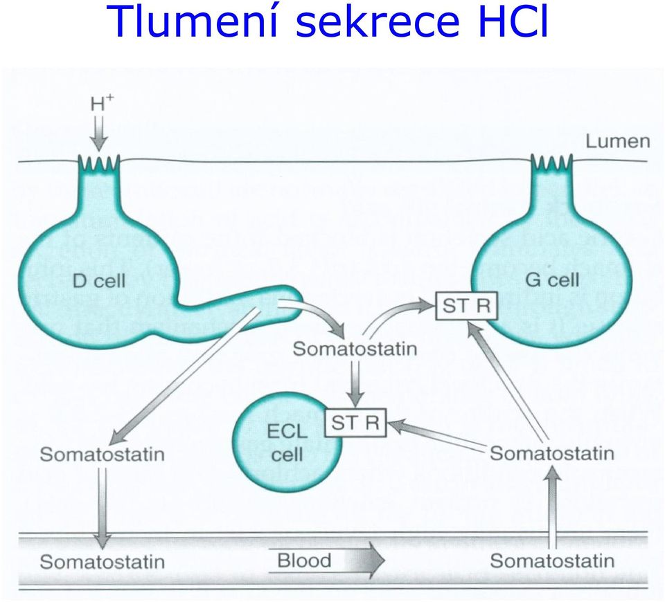 HCl