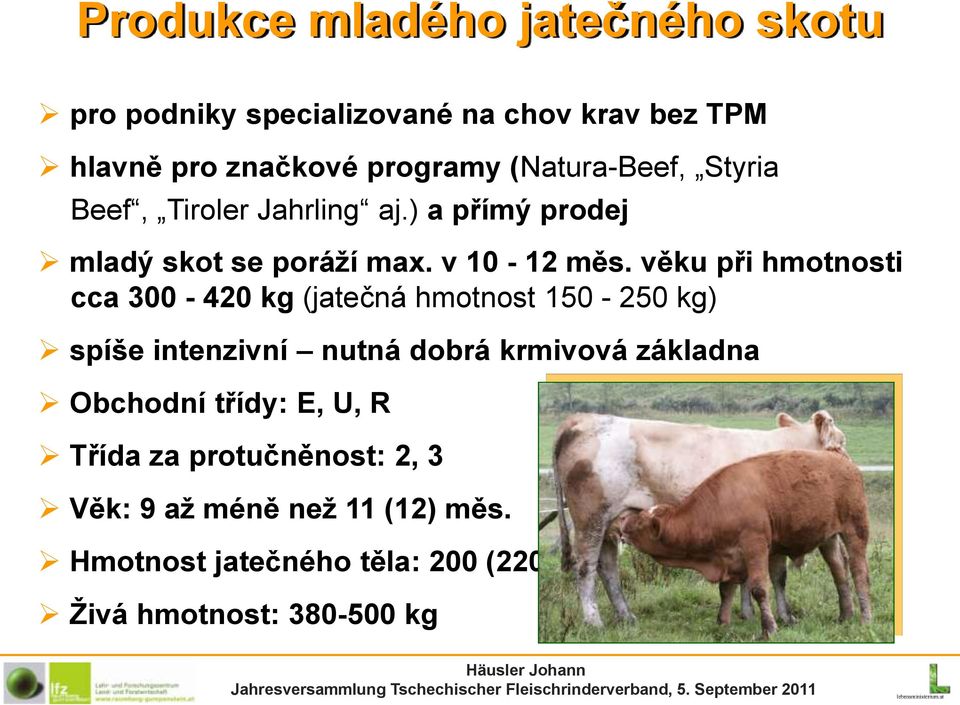 věku při hmotnosti cca 300-420 kg (jatečná hmotnost 150-250 kg) spíše intenzivní nutná dobrá krmivová základna