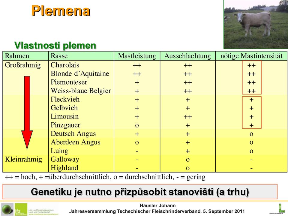 + + o + + ++ + + + + + Deutsch Angus + + o Aberdeen Angus o + o Luing - + Kleinrahmig Galloway - o Highland - o ++ =