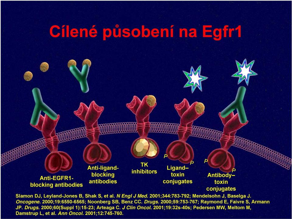 2001;344:783-792; Mendelsohn J, Baselga J. Oncogene. 2000;19:6550-6565; Noonberg SB, Benz CC. Drugs.