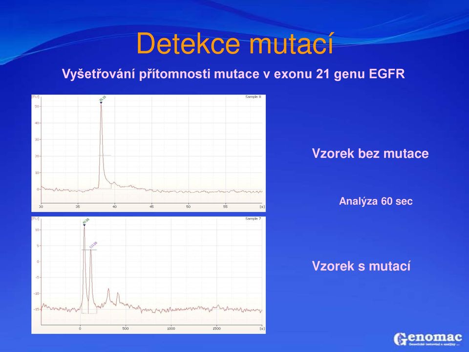 21 genu EGFR Vzorek bez