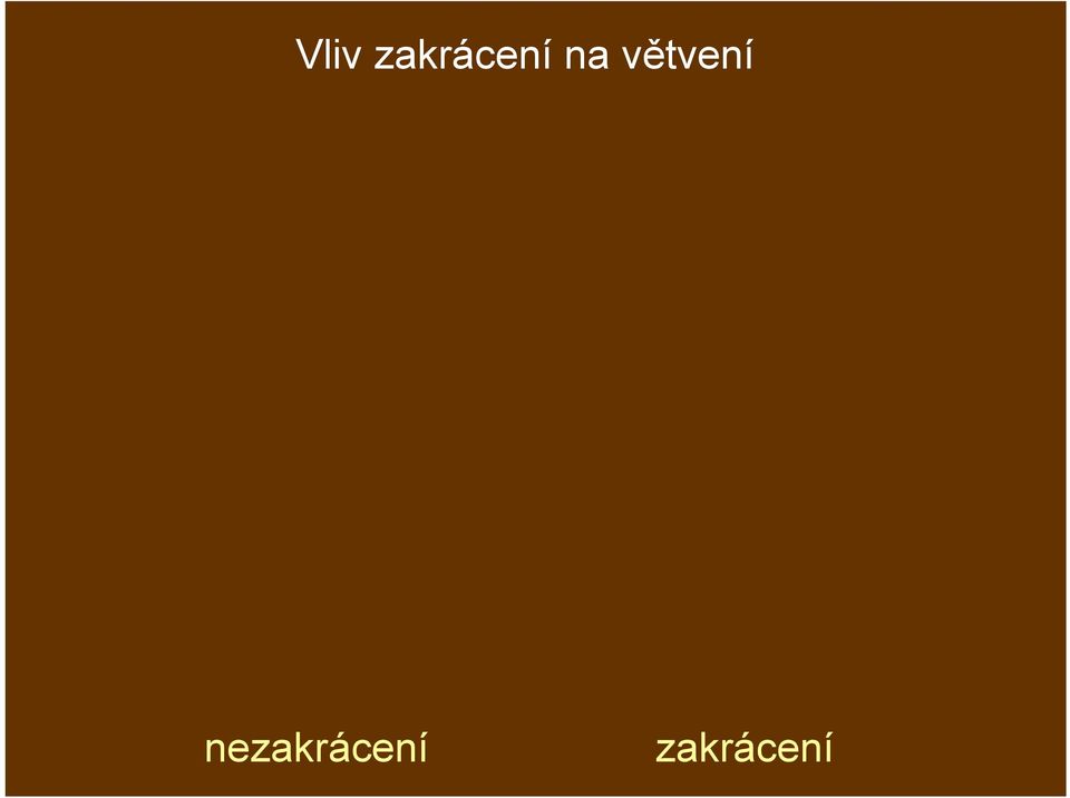 na větvení