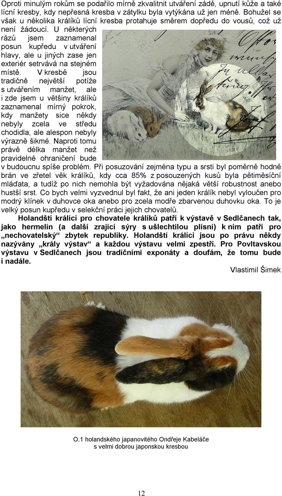 Bohužel se však u několika králíků lícní kresba protahuje směrem dopředu do vousů, což už není žádoucí.