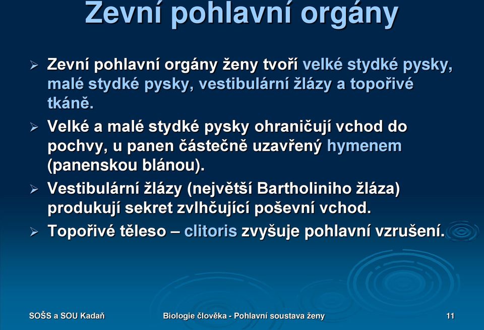 Velké a malé stydké pysky ohraničují vchod do pochvy, u panen částečně uzavřený hymenem (panenskou blánou).