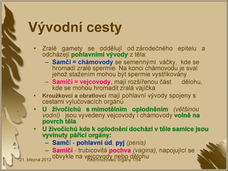 pohlavní vývody spojeny s cestami vylučovacích orgánů U živočichů s mimotělním oplodněním (většinou vodní) jsou vyvedeny vejcovody i chámovody volně na povrch těla.