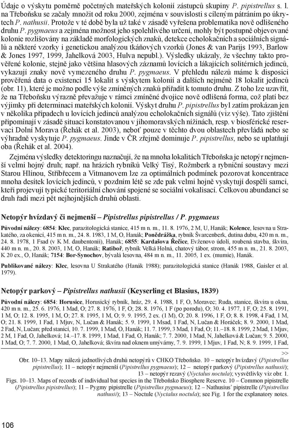 pygmaeus a zejména možnost jeho spolehlivého určení, mohly být postupně ob je vo va né kolonie rozlišovány na základě morfologických znaků, de tekce echolokačních a sociálních sig nálů a ně kte ré