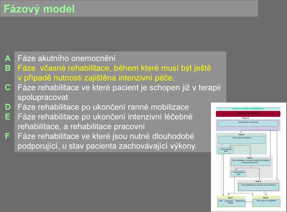 pracovní Fáze rehabilitace ve které jsou nutné dlouhodobé podporující, u stav pacienta zachovávající výkony.