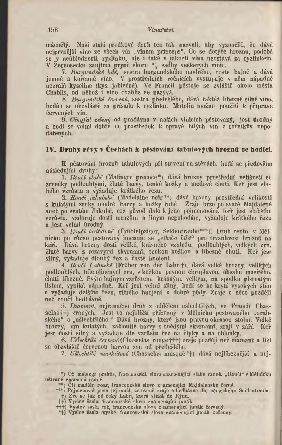 B u rgu n d sk é bité, sestra burgundského modrého, roste bujně a dává jemné a kořenné víno. V prostředních ročnících vystupuje v něm nápadně nezralá kyselina (kys. jablečná).