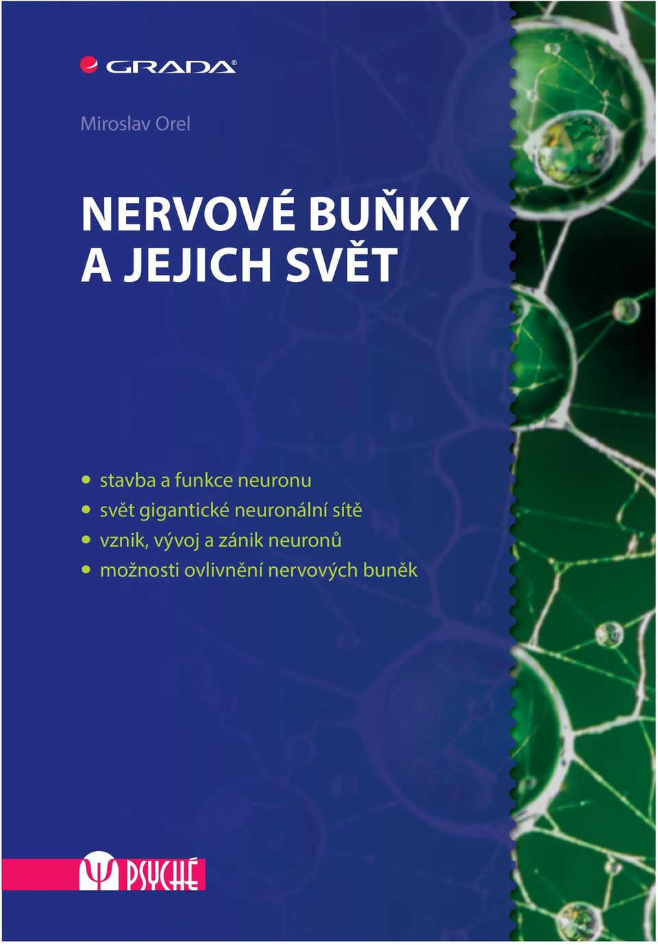 Publikace předkládá stručný souhrn základních vědomostí pro studenty a absolventy oborů, které se nervovou činností a duševní oblastí zabývají a pro něž jsou rozsáhlé medicínské publikace příliš