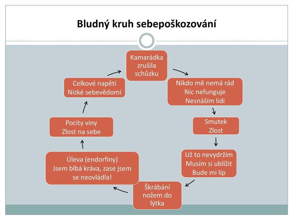 Zlost na sebe Smutek Zlost Úleva (endorfiny) Jsem blbá kráva, zase jsem se