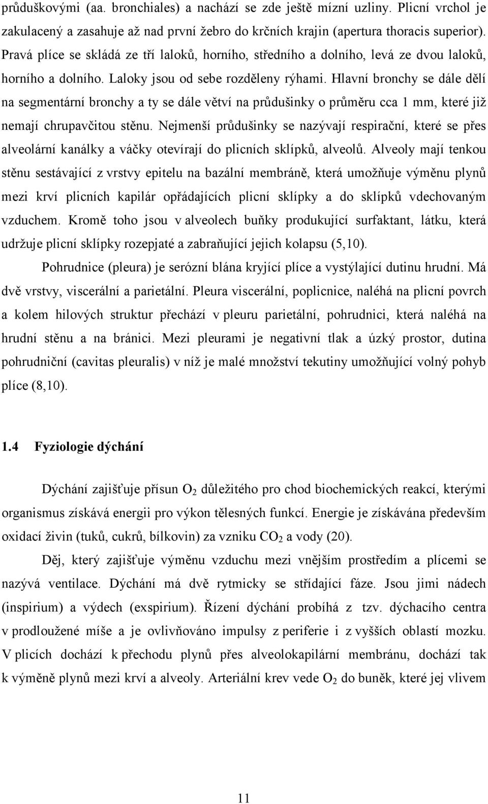 Hlavní bronchy se dále dělí na segmentární bronchy a ty se dále větví na průdušinky o průměru cca 1 mm, které již nemají chrupavčitou stěnu.