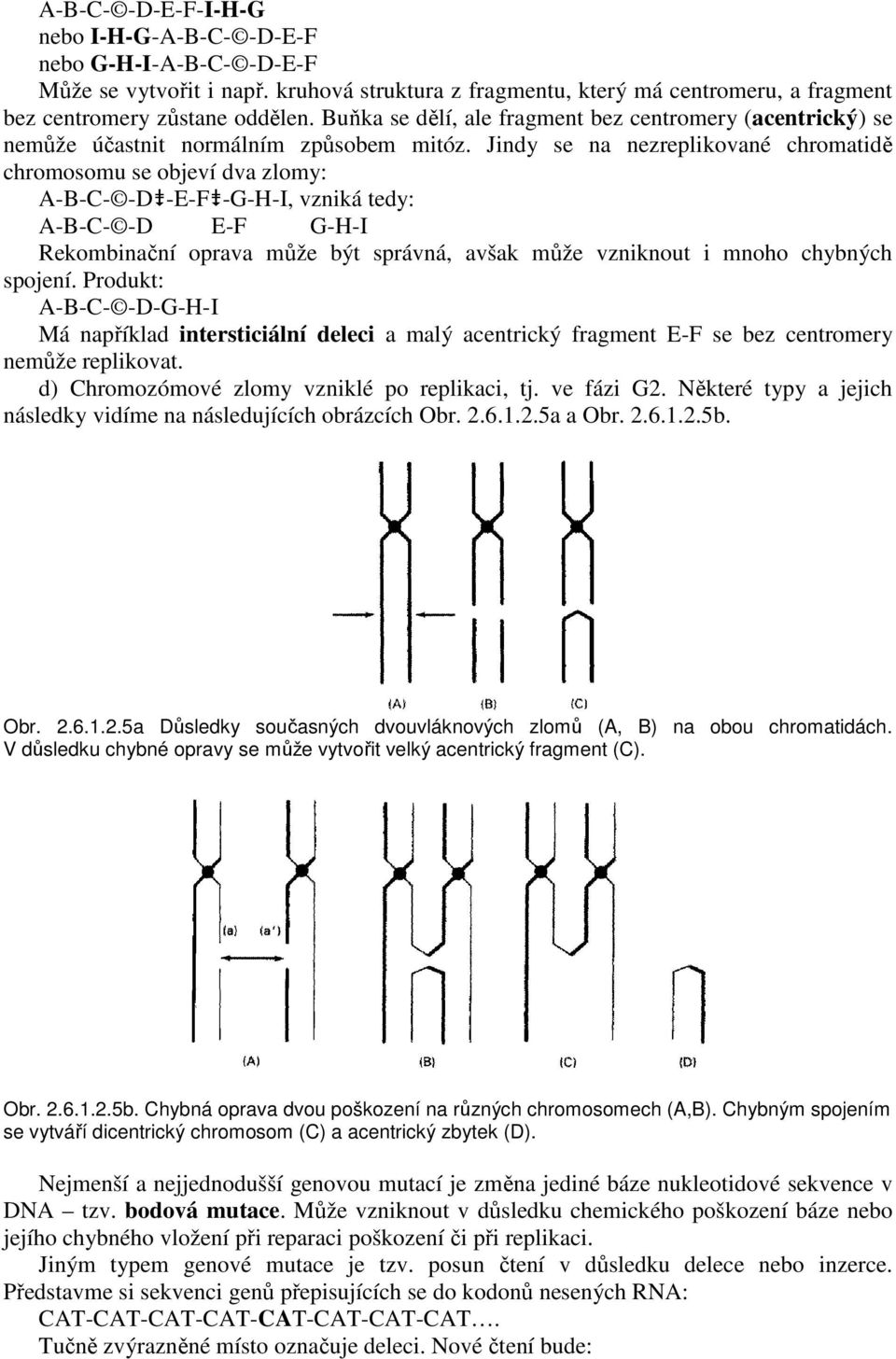 Jindy se na nezreplikované chromatidě chromosomu se objeví dva zlomy: A-B-C- -D -E-F -G-H-I, vzniká tedy: A-B-C- -D E-F G-H-I Rekombinační oprava může být správná, avšak může vzniknout i mnoho