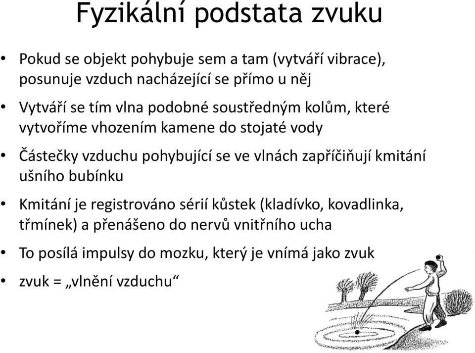 pohybující se ve vlnách zapříčiňují kmitání ušního bubínku Kmitání je registrováno sérií kůstek (kladívko,
