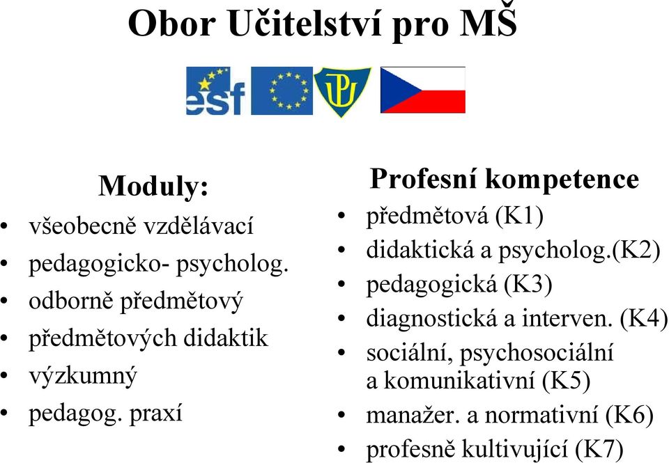 pedagogická (K3) odborně předmětový diagnostická a interven.