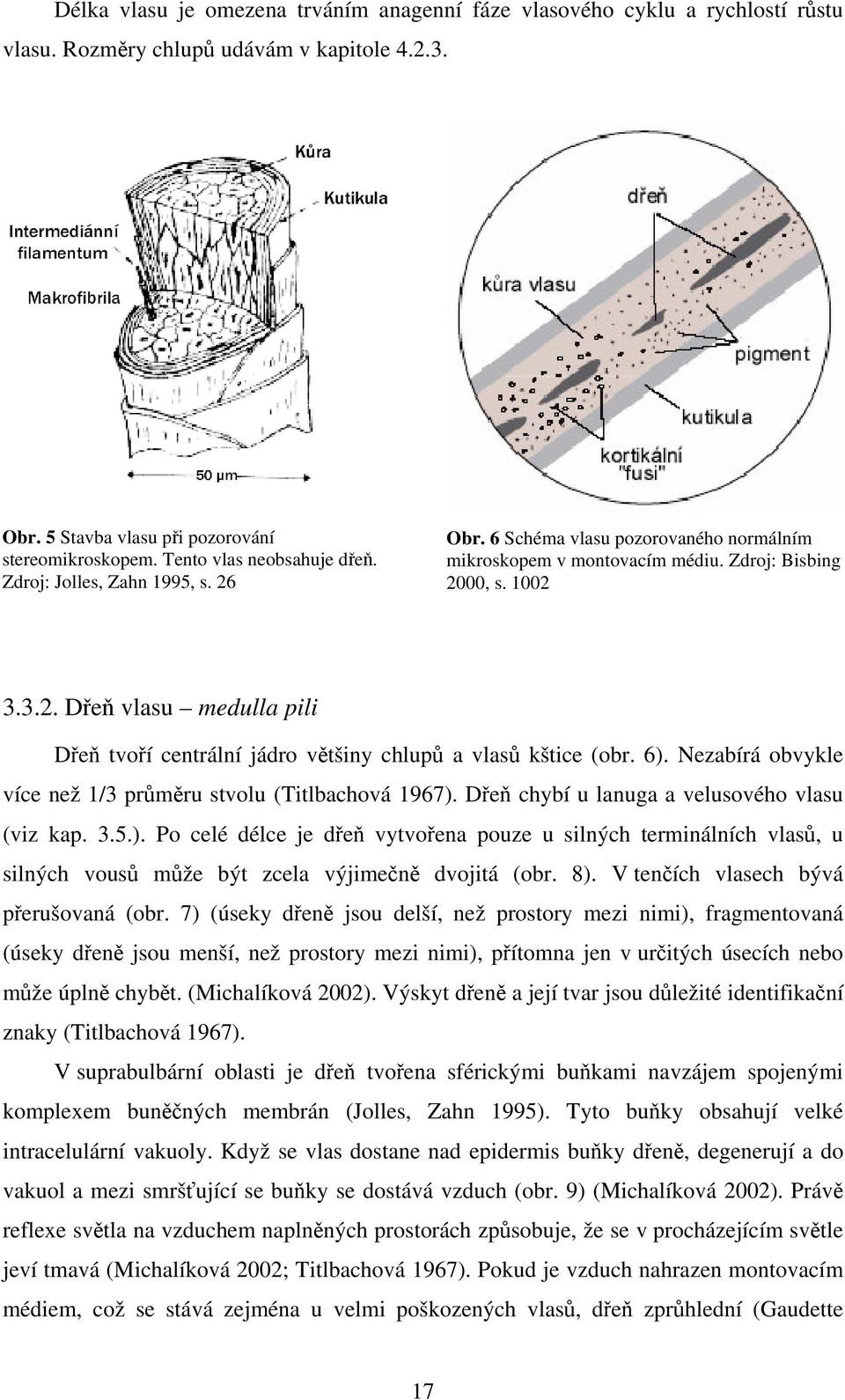 6). Nezabírá obvykle více než 1/3 prmru stvolu (Titlbachová 1967). De chybí u lanuga a velusového vlasu (viz kap. 3.5.). Po celé délce je de vytvoena pouze u silných terminálních vlas, u silných vous mže být zcela výjimen dvojitá (obr.