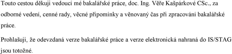 , za odborné vedení, cenné rady, věcné připomínky a věnovaný čas při