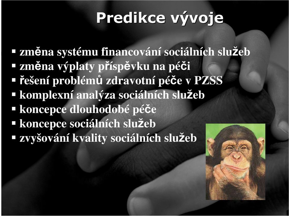 v PZSS komplexní analýza sociálních služeb koncepce dlouhodobé