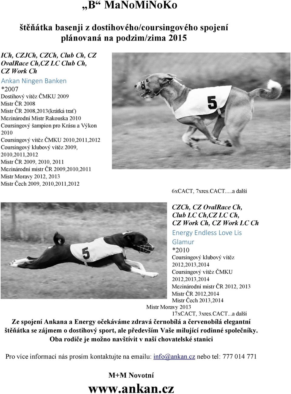 vítěz 2009, 2010,2011,2012 Mistr ČR 2009, 2010, 2011 Mezinárodní mistr ČR 2009,2010,2011 Mistr Moravy 2012, 2013 Mistr Čech 2009, 2010,2011,2012 6xCACT,