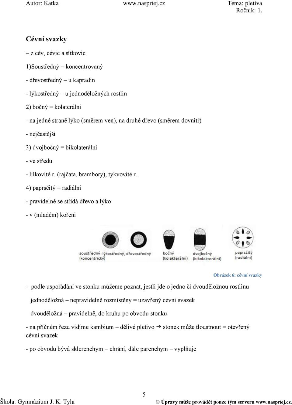 4) paprsčitý = radiální - pravidelně se střídá dřevo a lýko - v (mladém) kořeni Obrázek 6: cévní svazky - podle uspořádání ve stonku můţeme poznat, jestli jde o jedno či dvouděloţnou rostlinu