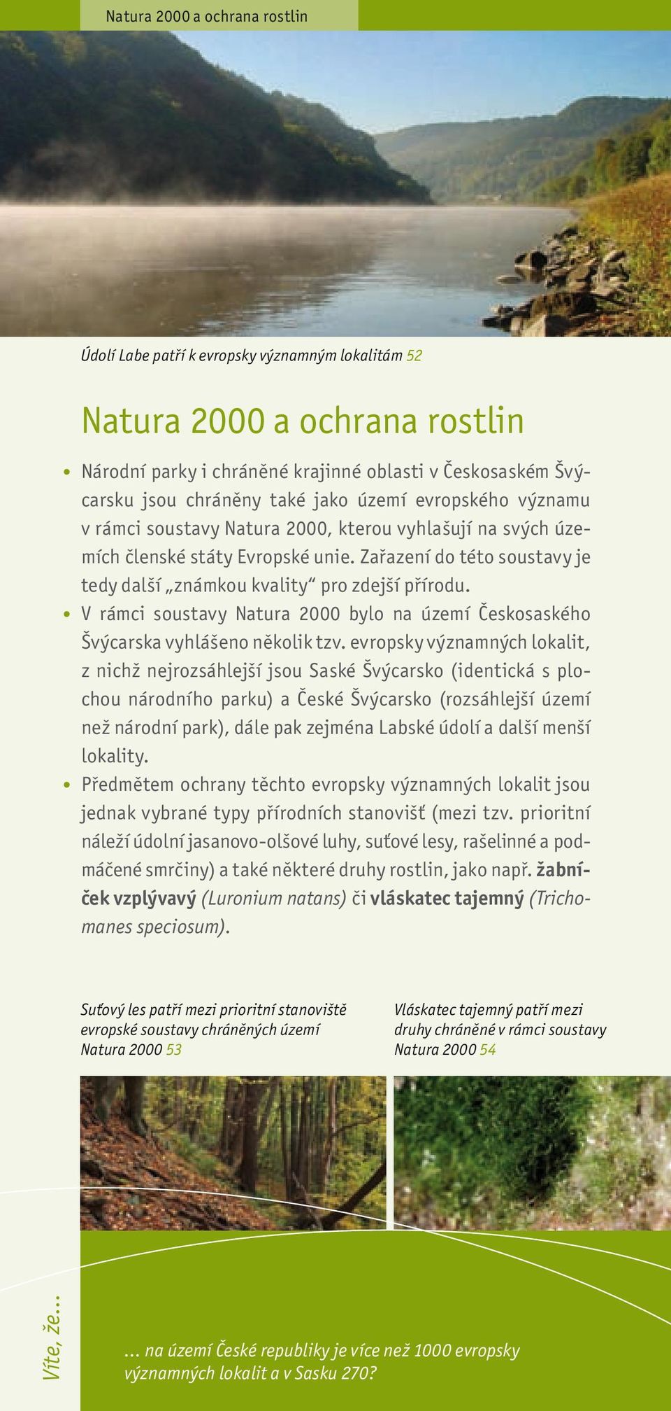 V rámci soustavy Natura 2000 bylo na území Českosaského Švýcarska vyhlášeno několik tzv.