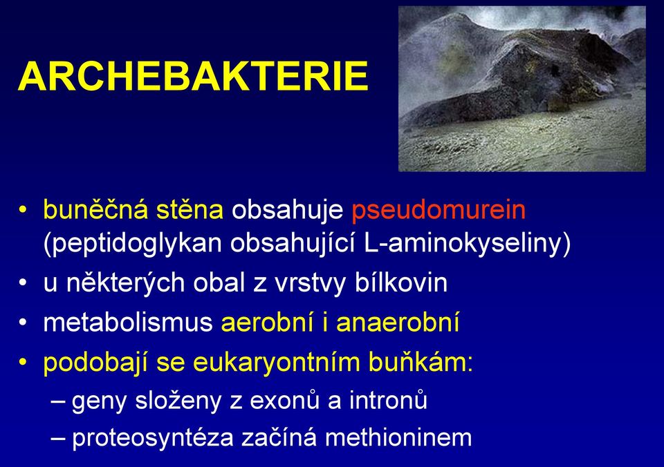 metabolismus aerobní i anaerobní podobají se eukaryontním