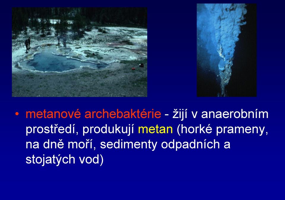 metan (horké prameny, na dně