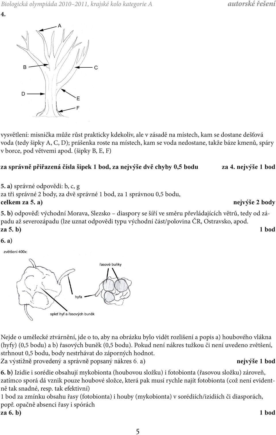v borce, pod větvemi apod. (šipky B, E, F) za správně přiřazená čísla šipek, za nejvýše dvě chyby 0,5 bodu za 4. nejvýše 5.