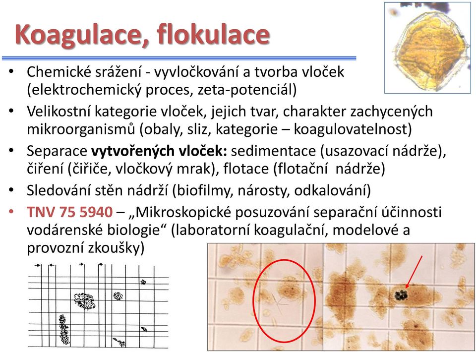 sedimentace (usazovací nádrže), čiření (čiřiče, vločkový mrak), flotace (flotační nádrže) Sledování stěn nádrží (biofilmy, nárosty,