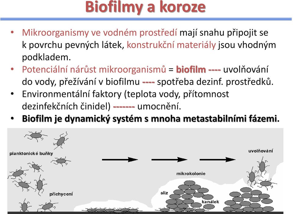 Potenciální nárůst mikroorganismů = biofilm ---- uvolňování do vody, přežívání v biofilmu ---- spotřeba