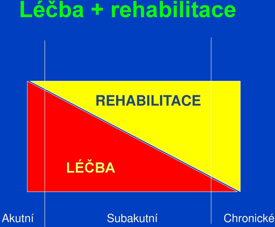 REHABILITACE