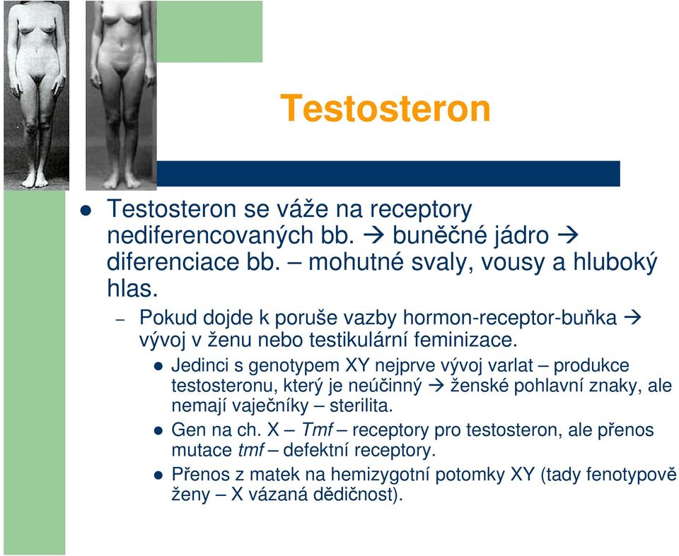 Jedinci s genotypem XY nejprve vývoj varlat produkce testosteronu, který je neúčinný ženské pohlavní znaky, ale nemají vaječníky