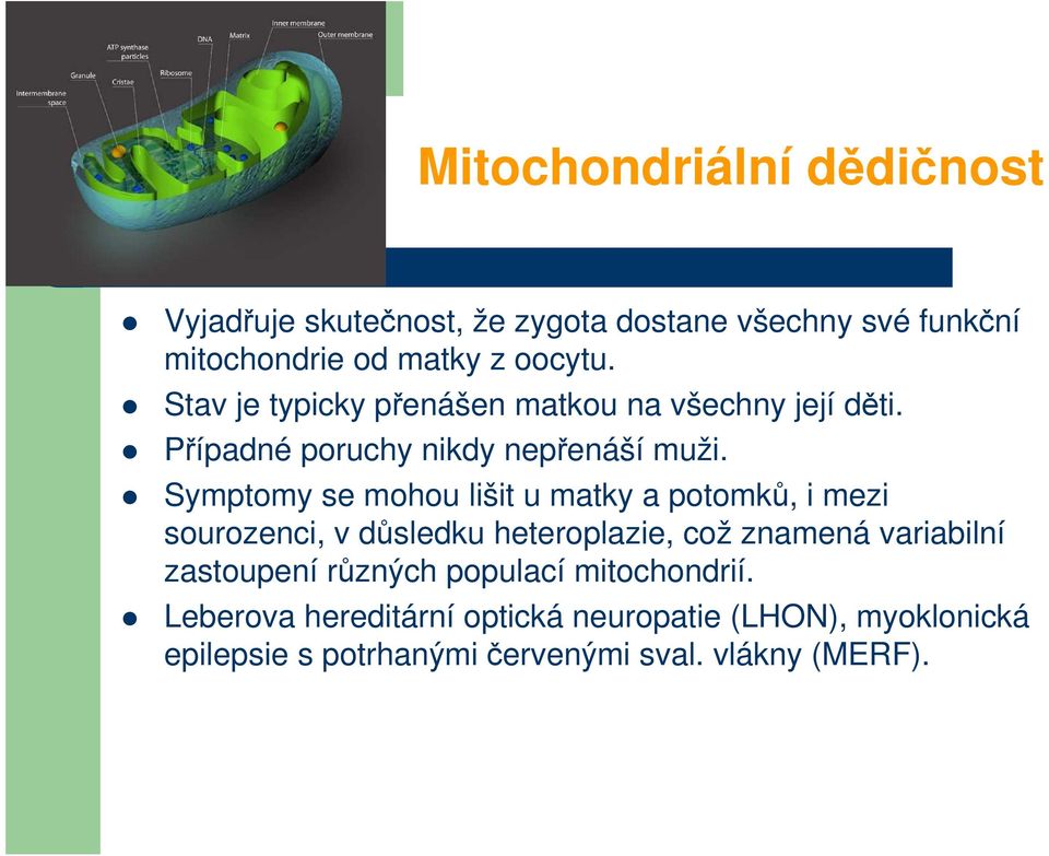 Symptomy se mohou lišit u matky a potomků, i mezi sourozenci, v důsledku heteroplazie, což znamená variabilní