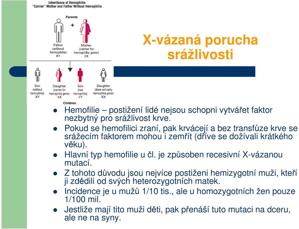 Hlavní typ hemofilie u čl. je způsoben recesivní X-vázanou mutací.