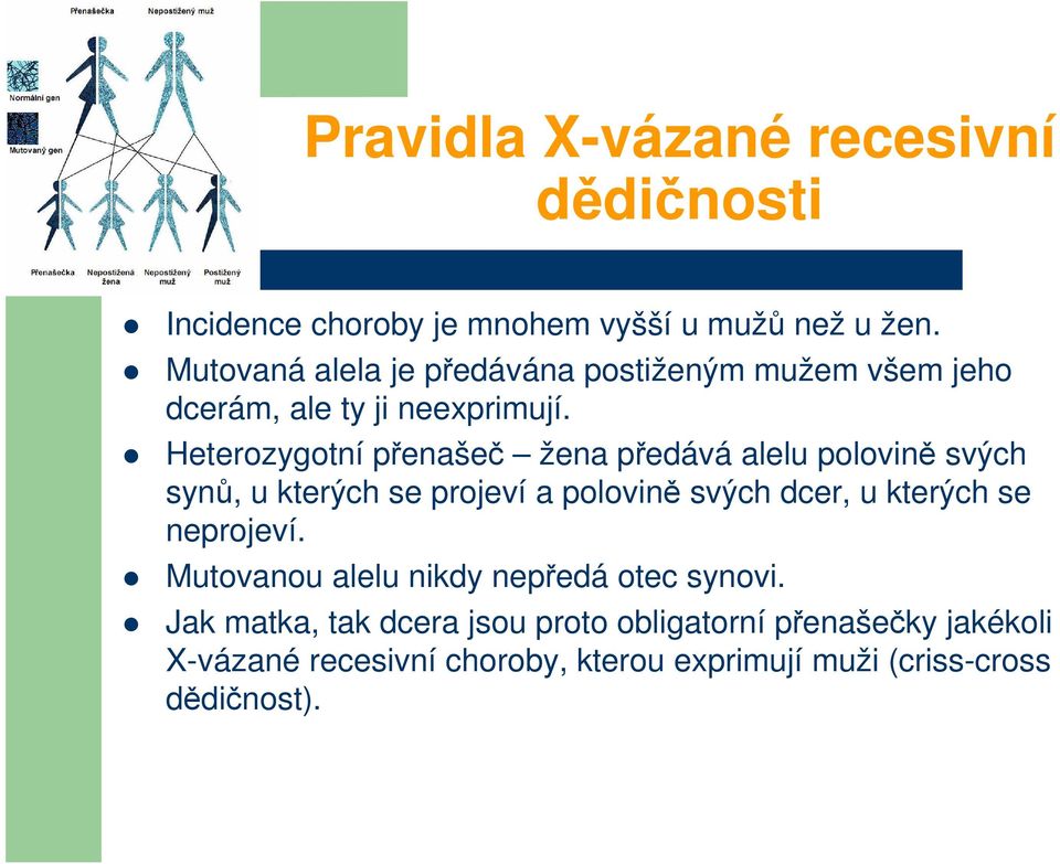 Heterozygotní přenašeč žena předává alelu polovině svých synů, u kterých se projeví a polovině svých dcer, u kterých se